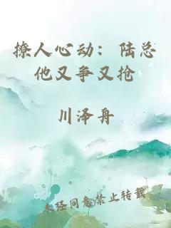 撩人心动：陆总他又争又抢